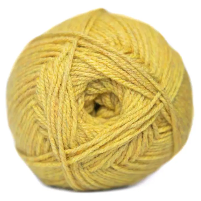 [9001135] CHARITY CHUNKY 5X100G BLS MUSTARD