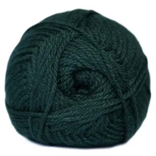 [9001024] [9001024] CHARITY CHUNKY 5X100G BLS BOTTLE