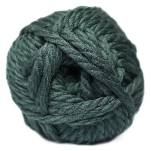 [9007737] [9007737] MEGA CHUNKY SOLID 2X300 g BLS CILANTRO